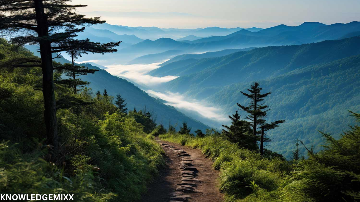 Great Smoky Mountains