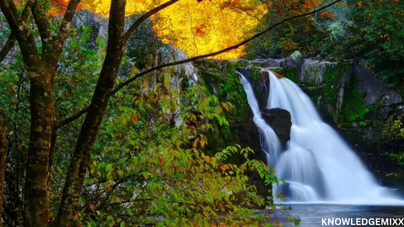 Great Smoky Mountains