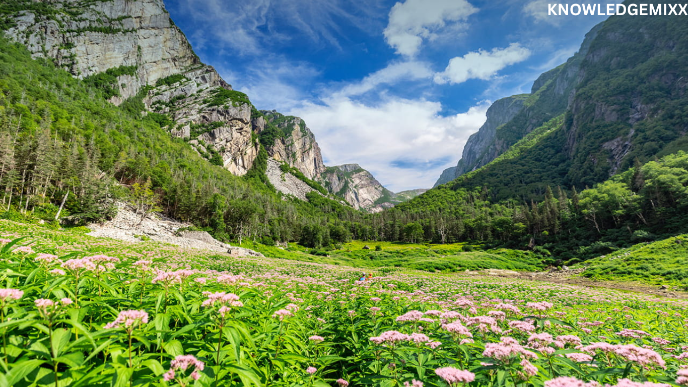 Gros Morne National Park