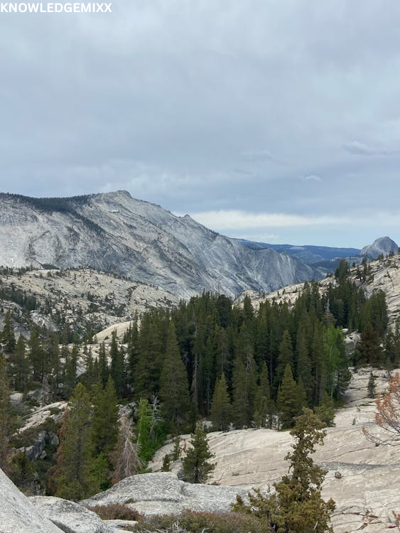 Yosemite National Park