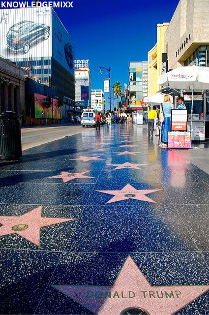 Hollywood Sign in America