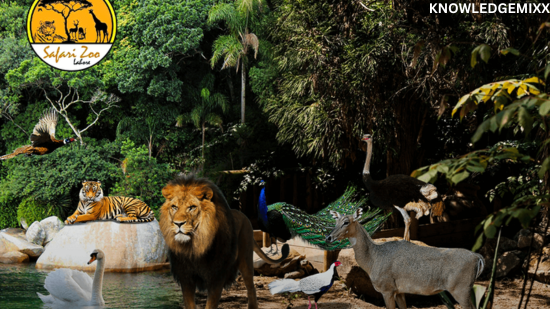 Lahore Safari Park