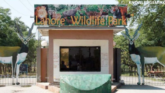 Lahore Safari Park